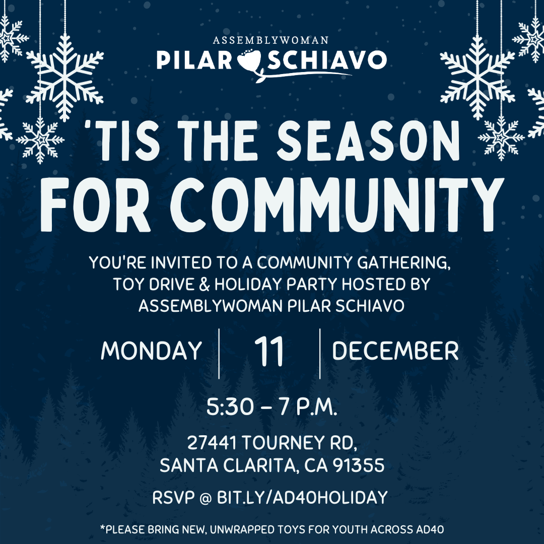 ad40 SCHIAVO holiday party flyer