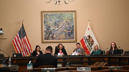 Military and Veterans Affairs Committee Hearing