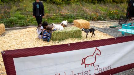 Youth and Family Festival 