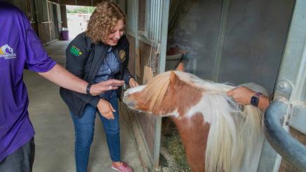 Straightening Reins Check Presentation