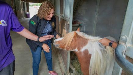 Straightening Reins Check Presentation