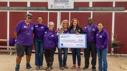 Straightening Reins Check Presentation