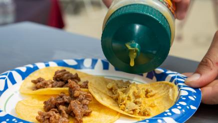 Tacos and Taxes