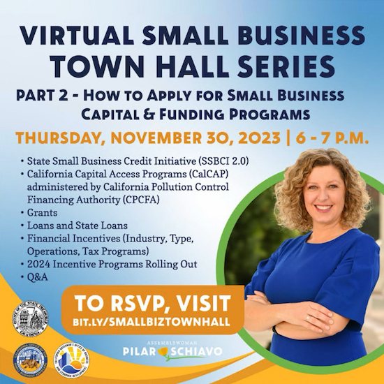 Virtual Small Business Town Hall